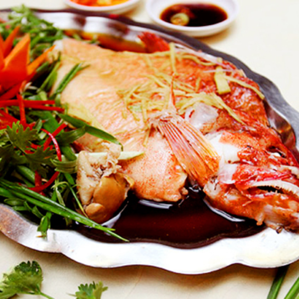 Cá mú đỏ giá sỉ