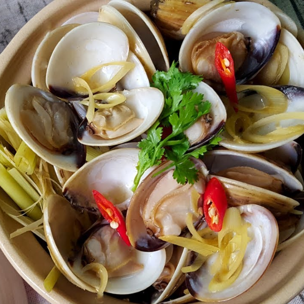 Nghêu trắng biển giá sỉ