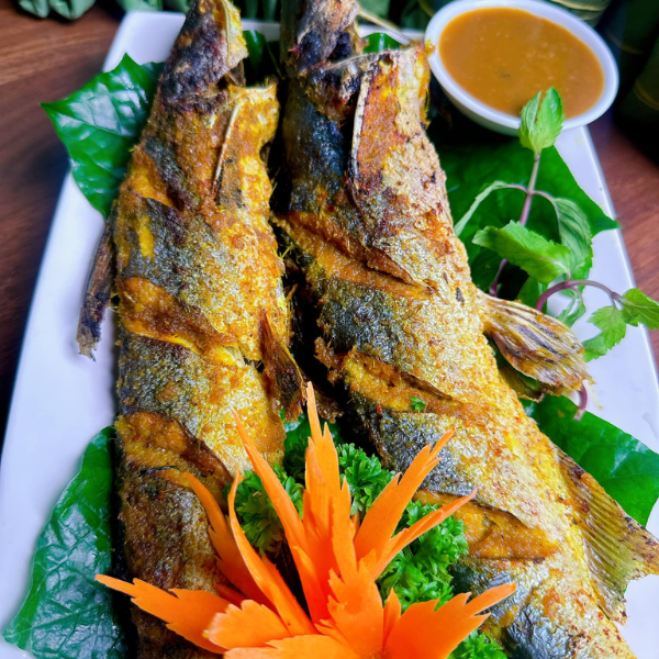 Cá úc chất lượng