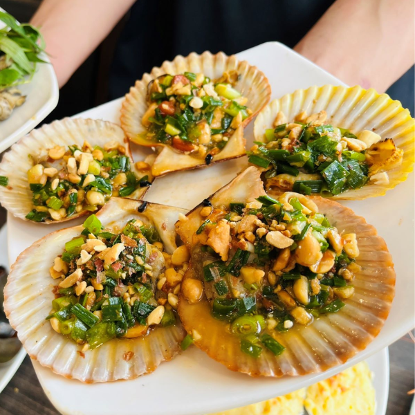 Sò điệp giá sỉ 