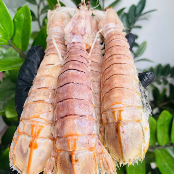 tôm tít trứng chất lượng