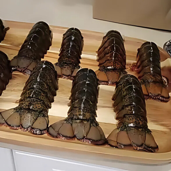 thân tôm hùm Mỹ giá sỉ